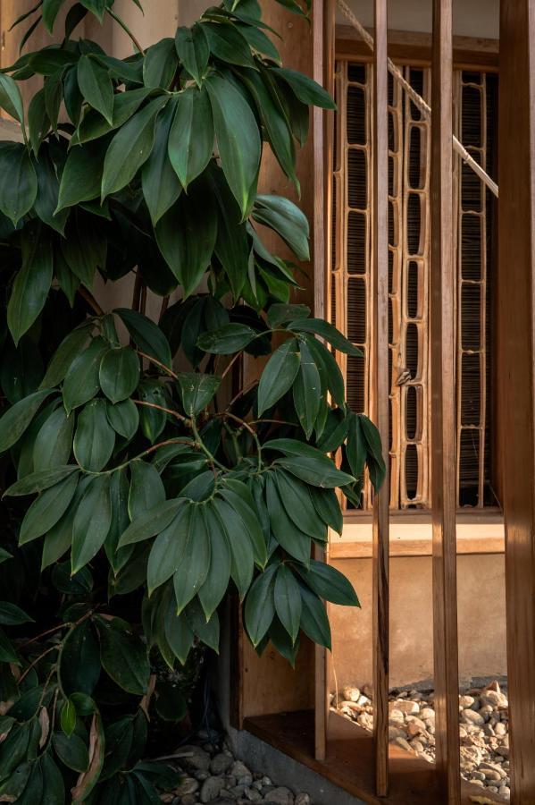 Bed and Breakfast Nani San Agustinillo Exterior foto